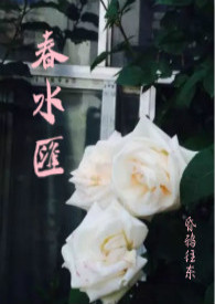 春水汇小说百度云